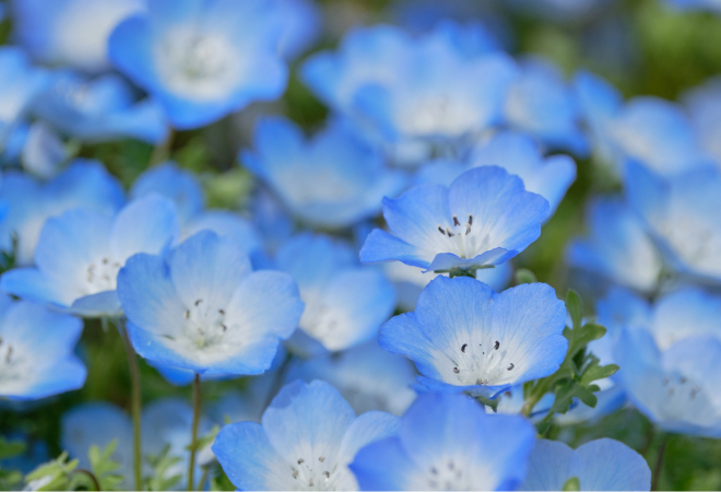 愛知県の人探し相談に関するFAQ